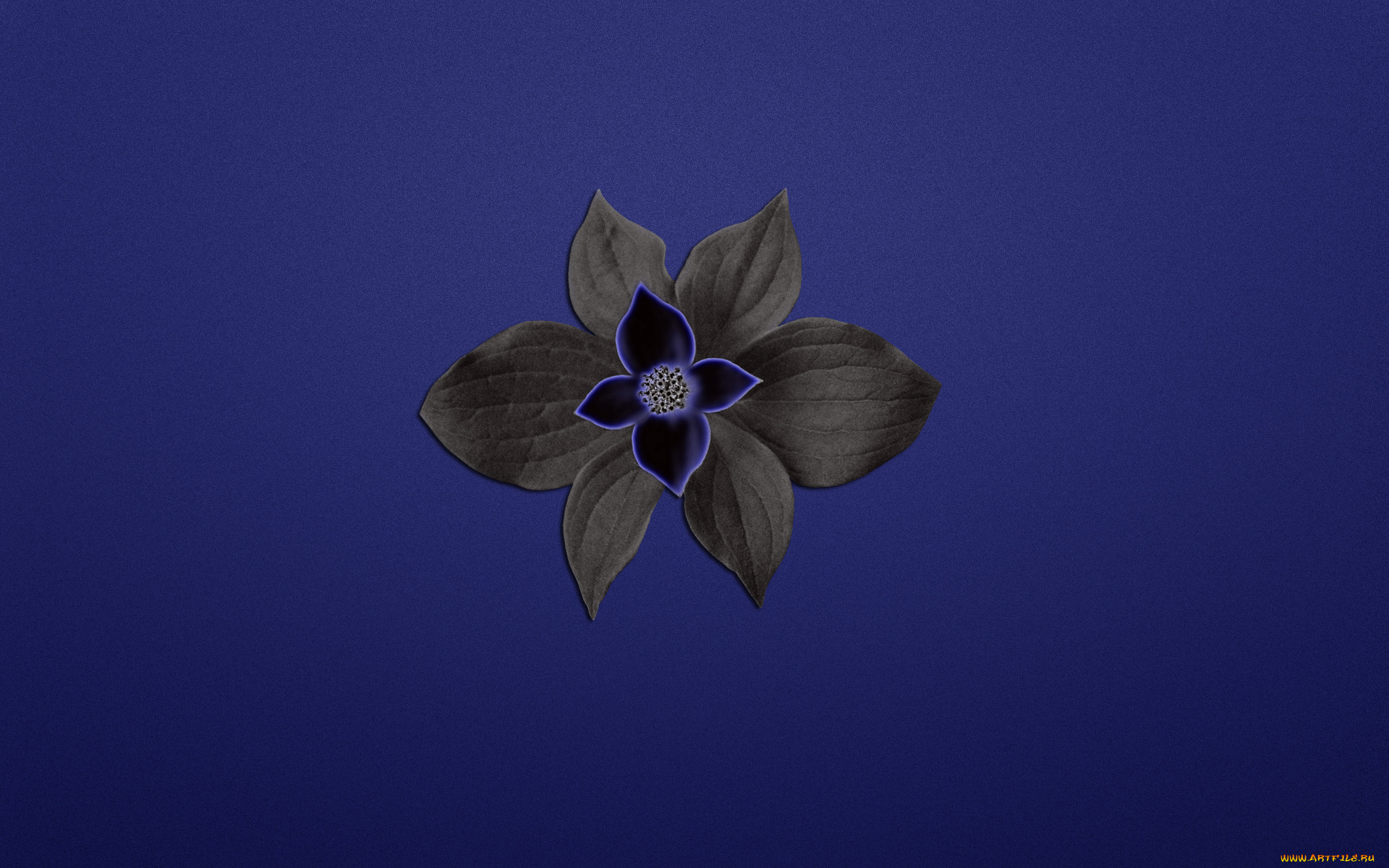 3, , flowers, , , , , 
